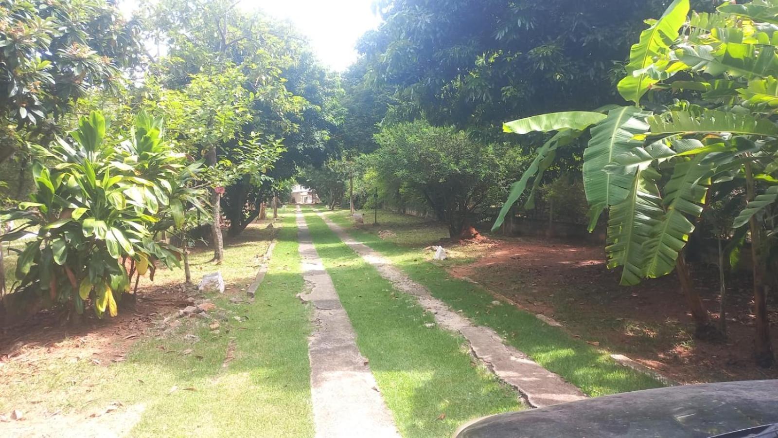 Flor De Jabuticabeira Hostel Jaguariúna Buitenkant foto